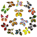 15 Pcs Wind up Butterflies for Cards Magic Flying Butterfly Pack of 2