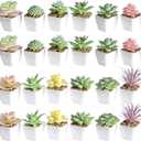 Tiita 24 Set Artificial Faux Succulents in Pots Fake Plants Plastic Arrangement Planter Small Mini Tiny Decoration for Home Office Desk Window Sill Bathroom Bedroom Outdoor Indoor