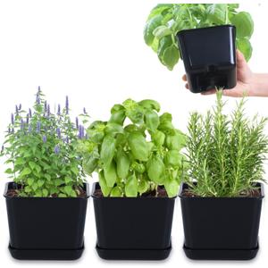 Oliz Herb Garden Planter Indoor Kit Pots for Indoor/Outdoor Plants 4 Packs Windowsill Plant Pots with Drainage and Tray, Window Pot for Indoor Plants (Black)