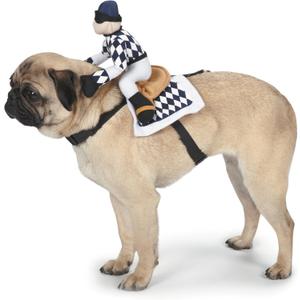 Zack & Zoey Show Jockey Saddle Dog Costume, Small (S (Neck: 10", Girth: 16"), Back:12"))