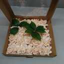 Ling's moment Flowers 25pcs Fake Gardenia Pink Flowers Artificial Flowers with Stem, Fake Flower for DIY Wedding Decorations Centerpieces Bouquets BoutonnieresFlores Artificiales para Decoracion (Pk-peach Cream)