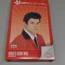 fun shack 50's Men's Black Wig with Sideburns, 1950s Costume Wig for Men, Retro Black Wig for Boys, One Size