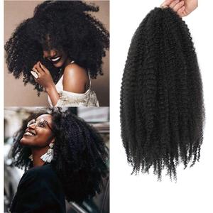 Dansama Marley Hair 20 Inch Long Afro kinky Twist Hair #2 Hair Marley Braiding for Faux Locs Crochet Hair (20 Inch (Pack of 3), #2)