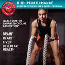 Kori Krill Oil Omega 3 Supplement, Antarctic Krill Oil with Superior Absorption vs Fish Oil, 1200mg Softgels, 30 Softgels, EPA & DHA