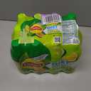Lipton Diet Green Tea Citrus, 16.9 Fl Oz Bottles (Pack of 12) (EXP 04/13/26)
