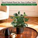 florisso Artificial Succulents with Fig Leaf Greenery in Black & Gold Planter, Fake Succulents Potted Decor for Farmhouse, Bathroom, Bedroom, Kitchen, Office Desk and Coffee Table (Black Gold)