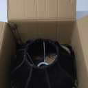 Shade with Tassel and Fringe, Victorian Lamp Shade, Black 5.5" Velvet Top Replacement Lamp Bell Shape Scallop Lampshades (Black) 