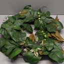 Serene Spaces Living 32in Long Artificial Magnolia Leaf Garland, Ideal to Hang at Wedding, Store Display, Window Sill, Fall Decor, Perfect Holiday Dcor