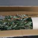 Artificial Fake Olive Tree 5FT Tall 2Pack with White Planter Faux Silk Olive Tree for Home Living Room Office Decor Faux Artificial Plants Indoor with Fruit & Free Moss