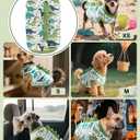 CuteBone Dinosaur Costume Dog Shirt, Stretchy Velvet T-Shirt Clothes for Small Dogs, Soft & Breathable Pet Tee Outfit Cat Apparel for Daily Wear, Cozy Pullover Design Puppy Fashion COSBX03S, Small