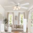 Fanbulous 52" Modern Ceiling Fan with 3 Lights, Remote & Pull Chain Control