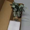 Artificial Eucalyptus Stems in Glass Vase with Faux Water, 13.5 Fake Plants for Home Decor, Coffee Table Centerpieces, Office, Bathroom & Farmhouse Weddings - Faux Greenery Plants Decorations