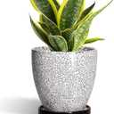EPFamily Ceramic Planter - 6 Inch Plant Pot for Indoor Ourdoor Plants, Round Succulent Planter, Decorative Flower Pots with Drainage Hole and Saucer, Home Desk Decor, Housewarming Gifts, White-Black