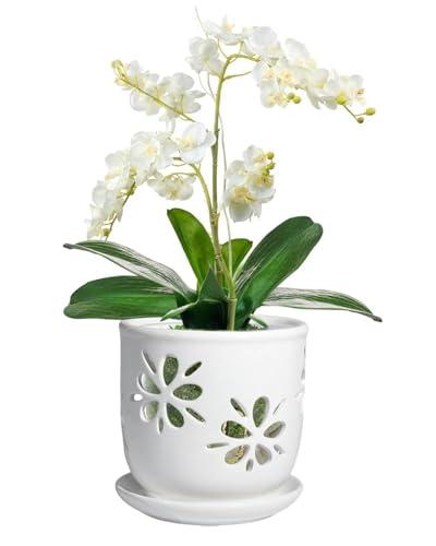 Vensovo 6 Inch Orchid Pot with Holes and Saucer - White Ceramic Orchid Planter for Repotting, Flower Pot for Indoor/Outdoor Plants (1 Pack)