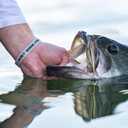 Berkley PowerBait The Champ Minnow Fishing Bait, Green Pumpkin, 2.5in, Irresistible Scent and Flavor, Ideal for Bass and Walleye