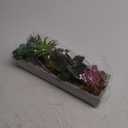 MyGift 15 Inch Mixed Color Assorted Artificial Succulent Plant Arrangement in Modern Gray Clay Planter Tray