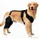 Adjustable Dog Knee Brace for Both Hind Legs - Support for ACL/CCL, Luxating Patella, and Cruciate Ligament Injuries with Secure Wrap, L