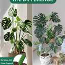 Breeze Touch Garden Trellis for Climbing Plants Outdoor, 40 Pack 17" Tomato Stakes Set with Clips & Connectors,Garden Plant Stakes, Tomato Frame, Cucumber Trellis for Raised Bed & Potted Plants