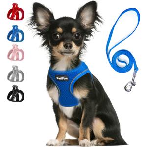 PetiFine Step in Small Dog Harness and Leash Set, Breathable All Weather Air Mesh Reflective Escape Proof, Step-in Vest Harnesses for Puppy(XS, Baby Blue) (XS | Neck: 12.2''-13'' Chest:14.2''-16.1'' |)