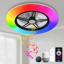 BAYSQUIRREL Alexa WiFi Low Profile Ceiling Fan with Light Flush Mount Enclosed Ceiling Fan LED Dimmable Bladeless Ceiling Fans with Google Assistant/App Control,6 Speed Dimmable LED-RGB Lights 22inch,Black+Alexa+RGB+Speaker