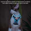 PetThem Upgraded Cat Harness and Leash Set - Step-in Escape Proof Adjustable Cat Harness, Comfortable Soft Lightweight, Reflective Harness for Walking, Travel, Camping (Butterfly Magic, S)