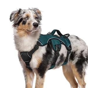 rabbitgoo Escape Proof Dog Harness Medium, Soft Padded Full Body Pet Harness, Reflective Adjustable No Pull Vest with Lift Handle and Leash Clip for Walking Hiking Training, Dark Green, M (Medium (Pack of 1)
