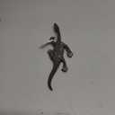 Schleich Dinosaurs, Large Dinosaur Toys for Boys and Girls, Realistic Nothosaurus Toy Figurine, Ages 4+