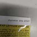 5 x Seeds Crisphead Lettuce Iceberg Green Salad Buttercrunch Heirloom Vegetable Non GMO, BBD 2029