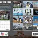 Penguin Calendar 2026 Wall Monthly Penguins Gifts For Penguin Lovers Women Men | American Made In The USA