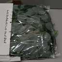 6 Pack Artificial Eucalyptus Garland with Willow Leaves Each 6.5 Feet Faux Greenery Garland for Wedding Arch Mirror DIY Garlands Decor