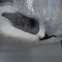 Pain Relief Cervical Pillow for Neck Support, Adjustable Ergonomic Pillow Cozy Sleeping, Odorless Orthopedic Memory Foam Pillow, Contour Bed Pillow for Side Back Stomach Sleeper