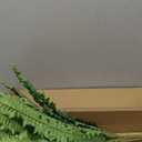 50" Artificial Boston Ferns, Fake Bush Plants, Large Faux Ferns with 96 Fronds for Outdoors Home Decor (50" 1 Pcs)