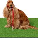 MAYSHINE Fake Grass for Dogs, Artificial Turf Grass Indoor Outdoor, Mat for Dogs Soft Blades, Cesped Artificial for Patios, Dog Astro Turf for Balcony, Quick Clean, Easy Rinse Patio Rug, 59"x36"