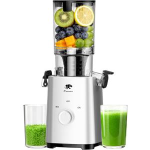 T34 Cold Press Juicer, Juicers Machines - 5.3" Large Feed Chute for Whole Fruits & Vegetables, Powerful AC Brushless Motor, 99% Juice Yield, Ultra Quiet, Easy Clean, Extra one Replace juicer strainer