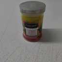 Tuscany Limited Edition Scented Triple Pour Jar Candle Citrus Splash, 18 ounces