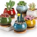 TOPZEA Set of 6 Succulent Plant Pots, 4 Inch Glazed Ceramic Pots with Drainage and Saucer, Mini Bonsai Planter Small Flower Pots for Indoor Outdoor Use