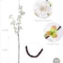 Artificial Cherry Blossom Branches 27.6In Silk Cherry Blossom Branches 8PCS Long Stem Artificial Flowers for Tall Vase, for Home Decorate, Weddings Decorate, Parties & Festival Gifts (White)