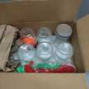 Glass Mason Jars, With Halloween Things, Animals, 6 pct