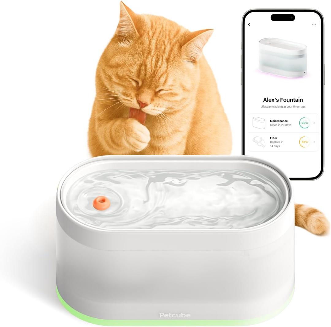 Petcube Pet Water Fountain | Automatic Wireless Water Fountain for Cats and Dogs with Ceramic Bowl, Easy to Clean, 4-Layer Filtration, in-App Filter Control, LED Light, Quiet Pump, Battery Operated (White)