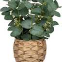 DILATATA Artificial Eucalyptus Stems in Woven Basket Planter, 11" Fake Plant Eucalyptus Leaves with White Seeds Faux Potted Plant Greenery for Table Centerpiece Office Indoor Home Decor