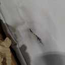 MASTERCANOPY Pop up Canopy Tent with 1 Sidewall (12x12 ft, Khaki)