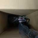 Shark | Corded Stick Vacuum Cleaner | Vertex Ultralight | Removable Handheld Vacuum | Pet Hair Vacuum for Carpet and Hard Floor | Powerful Suction | No Hair Wrap | 3 Attachments Included | HZ2002