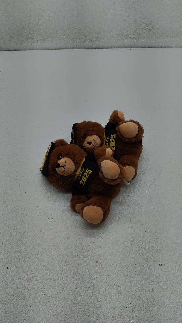 2-pk class of 2025 graduation bear with cap 10 in.