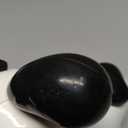 VTech Pull and Sing Puppy