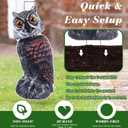 8 Pack Owl Decoys to Scare Birds Away, Fake Owls Scarecrow Yard Lawn Sign with Stakes Pest Repellent Bird Deterrents Waterproof Plastic Owls Decorations for Gardens Patio Outdoor(2 Pattern)