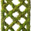 SuperMoss Plant Trellis - Decorative Garden Trellis for Climbing Plants Indoor & Outdoor | Moss-Covered Plant Support for Raised Garden Bed, Patio, Planters, and Garden Decor, Mini 17" X 6.5", Diamond
