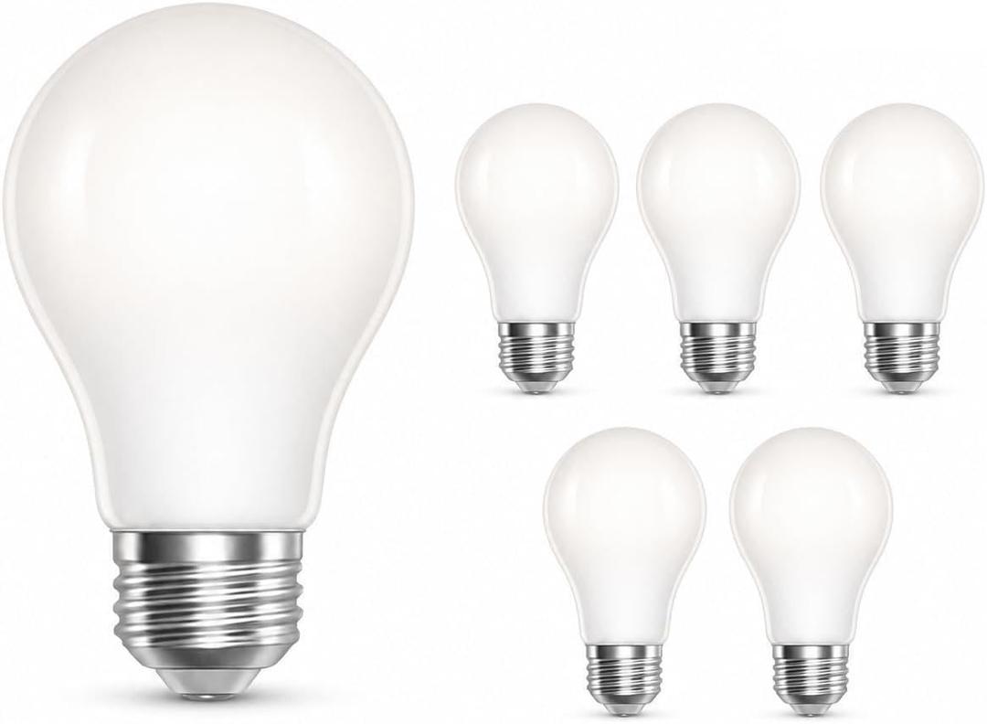 Incandescent Light Bulb Frosted 40W, A19 Bulb, Pack of 6