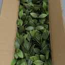 Winlyn Artificial Eucalyptus Plant in Rustic Rectangular Wooden Planter Box Faux Potted Herb Plant Greenery Arrangement for Farmhouse Indoor Wedding Table Centerpiece Mantel Shelf Kitchen Decor