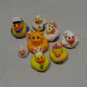 Pack of 10 Ducks