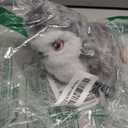 Potaroma Flapping Owl Cat Toys (No Flying), Lifelike Bird Chirp, Rechargeable Touch Activated Kitten Toy, Interactive Catnip Kicker Exercise Toys 4.0" for All Breeds